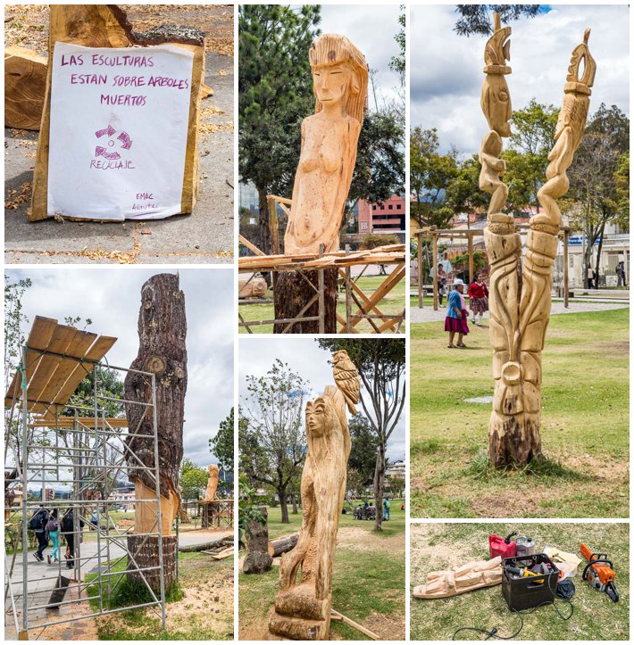 Cuenca Ecuador Dead Tree Art Wood Sculptures