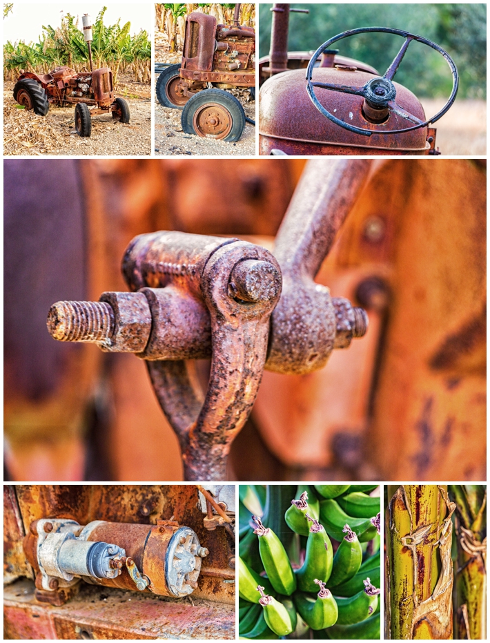 Cyprus Sunset Tractor