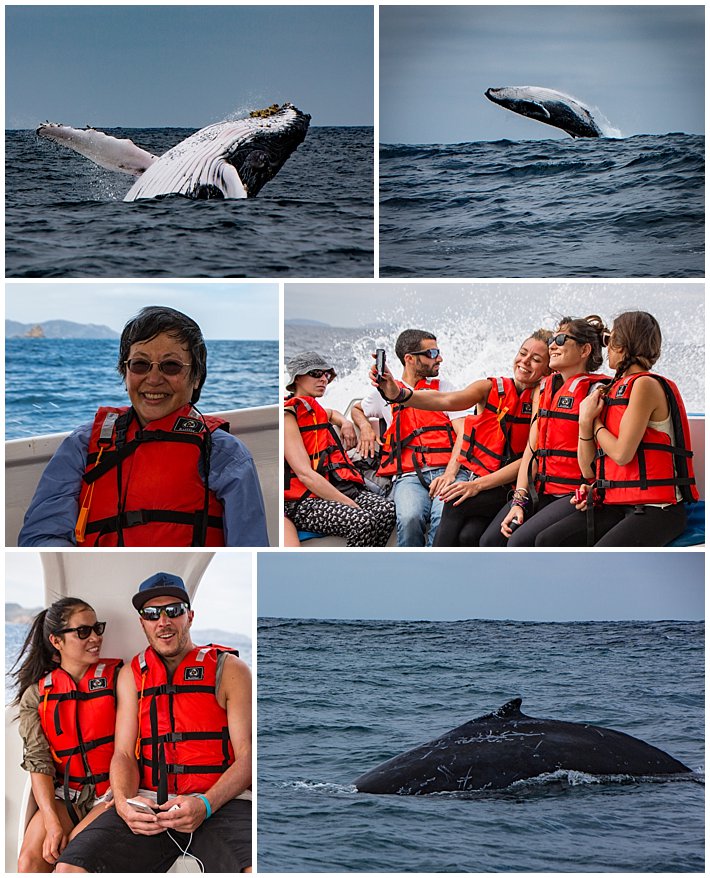 Puerto Lopez Ecuador 2016 whales