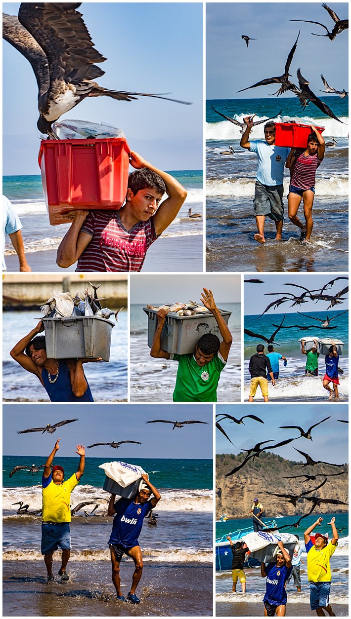 Puerto Lopez Ecuador 2016 birds attacking fishermen runners