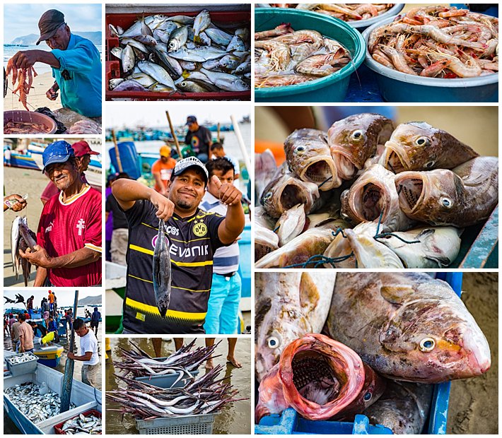 Puerto Lopez Ecuador 2016 fish and fishermen vendors