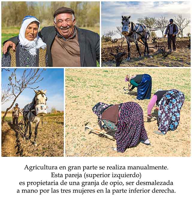 Spanish Class Story - farmers