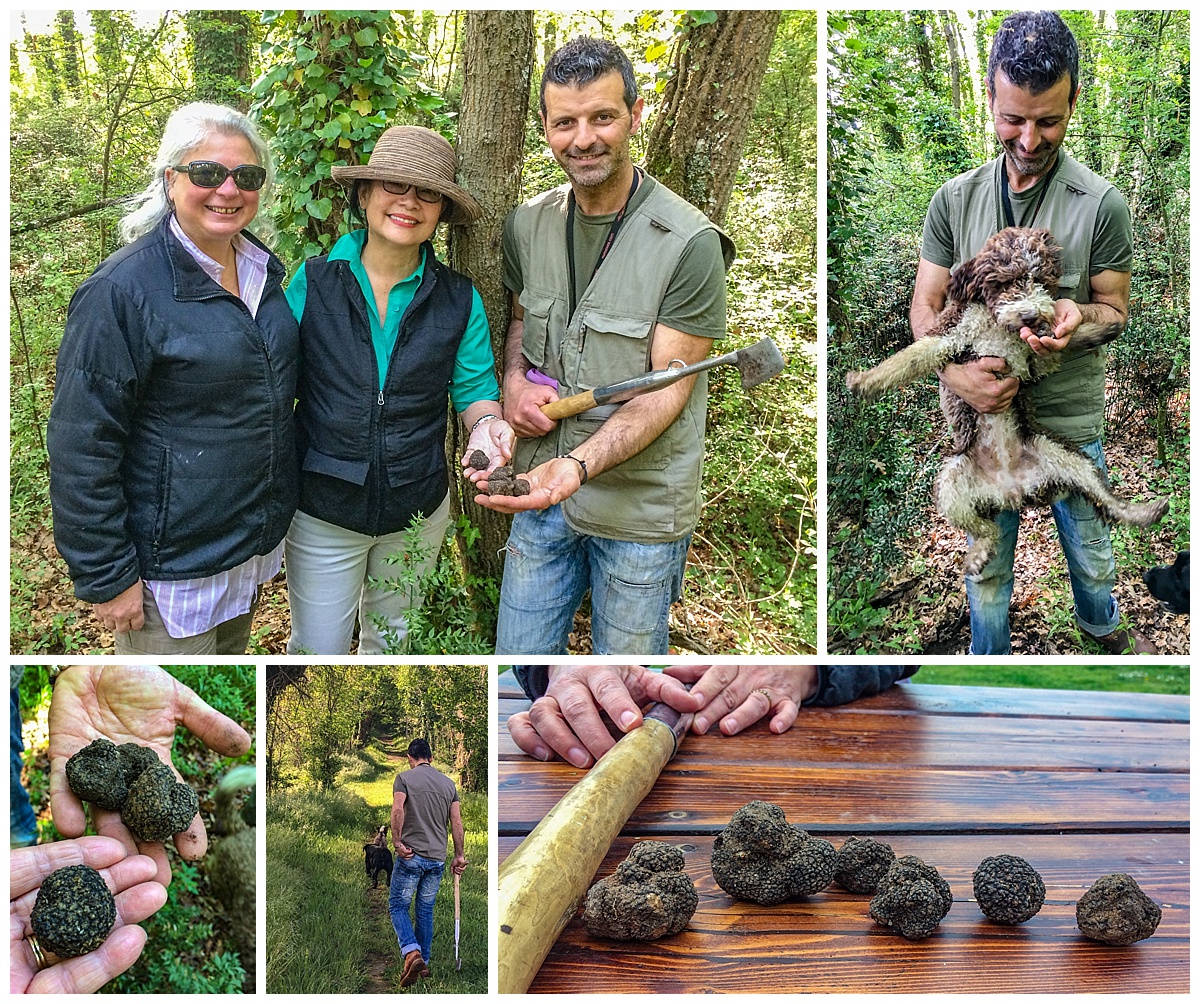 Tuscany Italy - truffle hunting