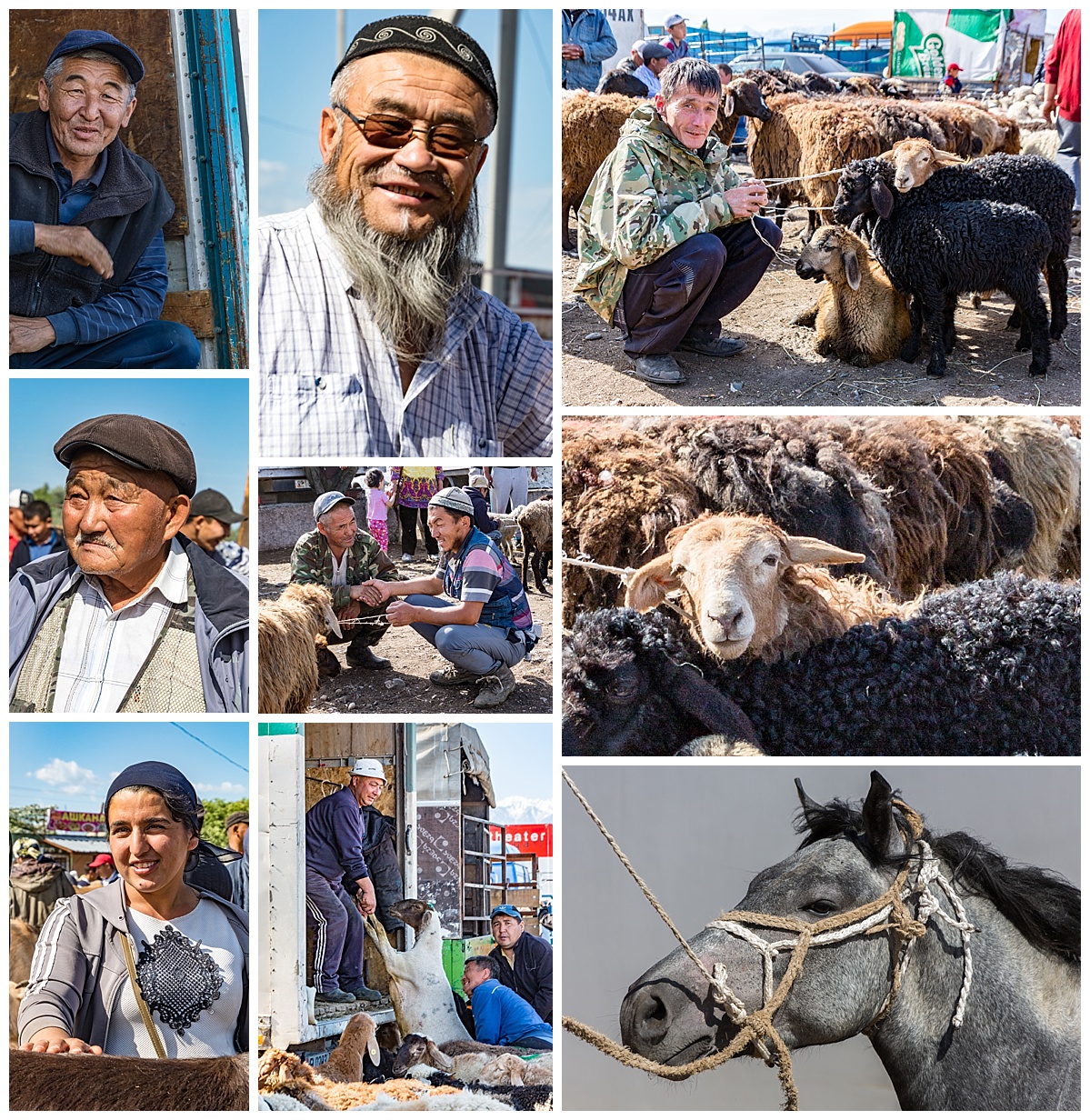 Issyk Kul, Kyrgyzstan - animal market