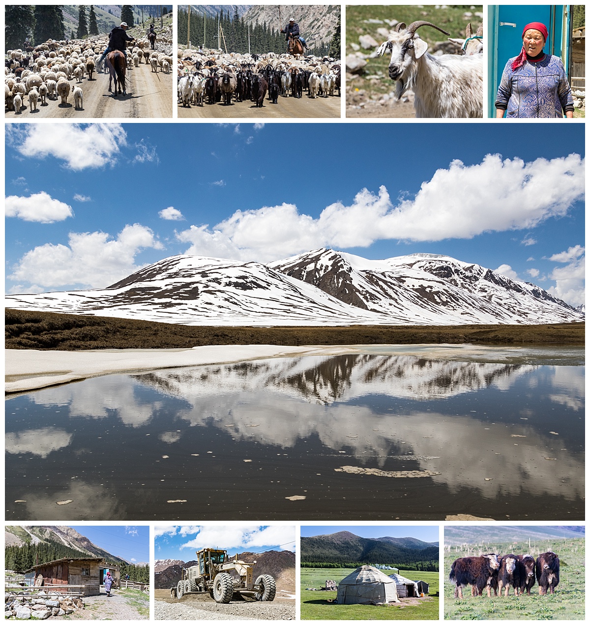 Issyk Kul, Kyrgyzstan - sheep herder