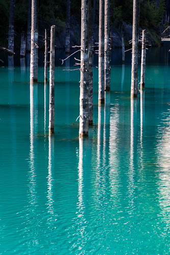 Kazakhstan - Kolsoi lake trees realistic