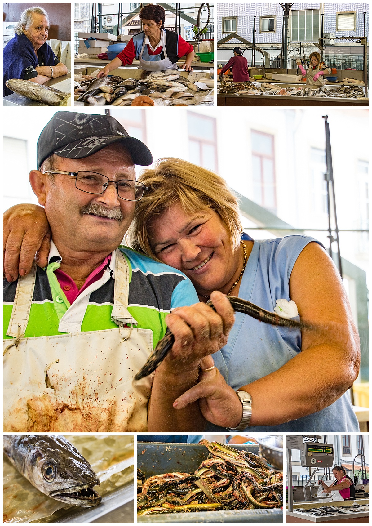 Aveiro 1 - fish market