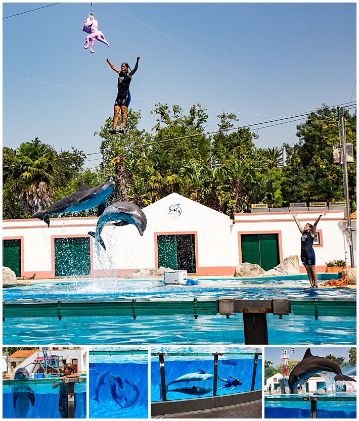 Lisbon 1- zoo dolphin show