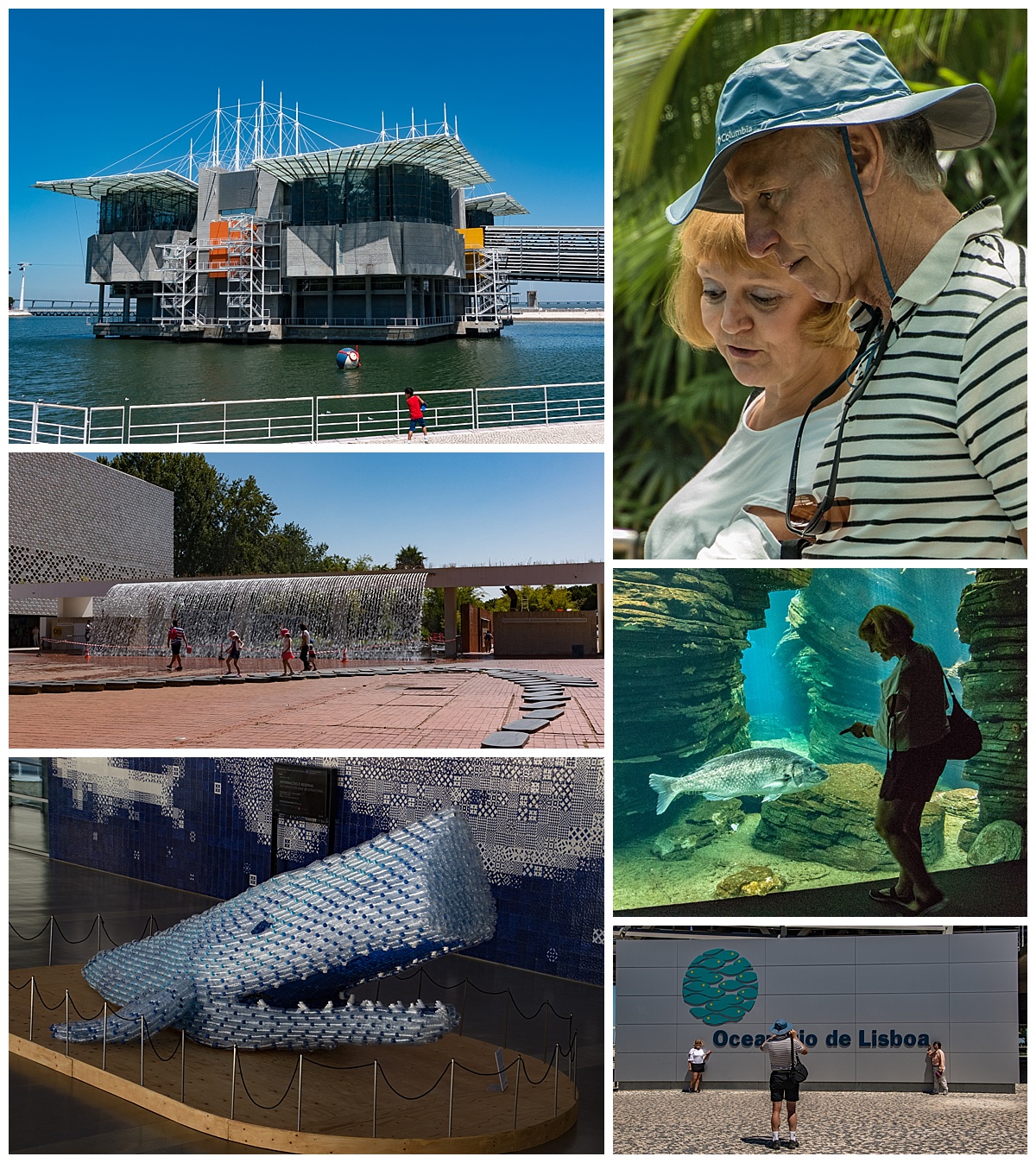 lisbon oceanarium 1- building and friends