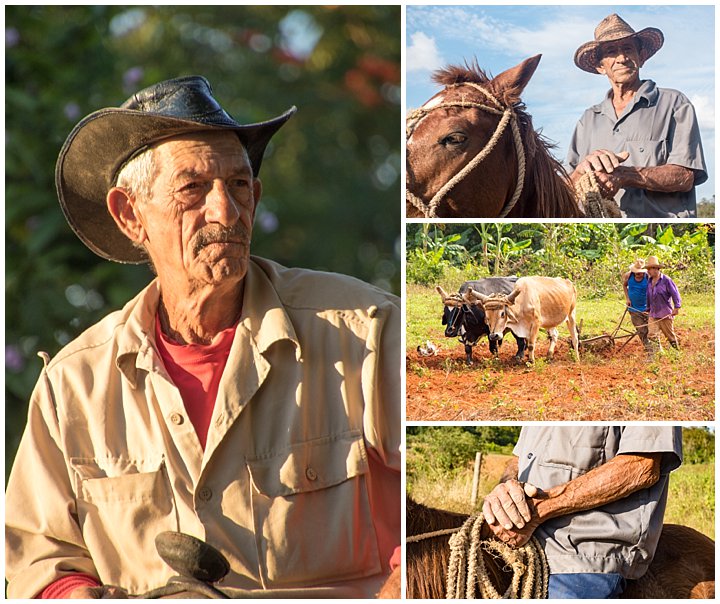 Vinales, Cuba - cowboys