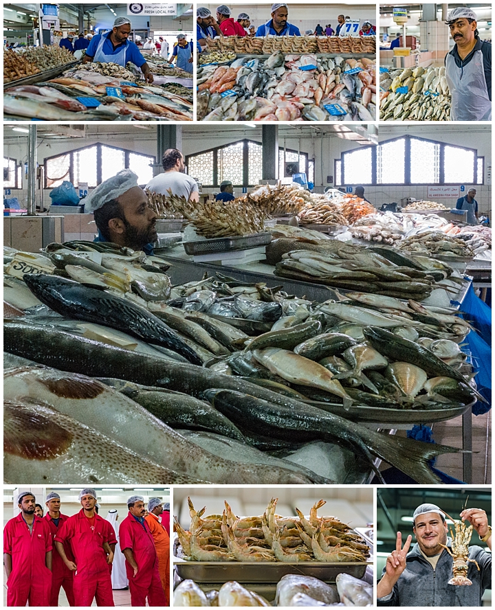 Abu Dhabi, UAE - fish market