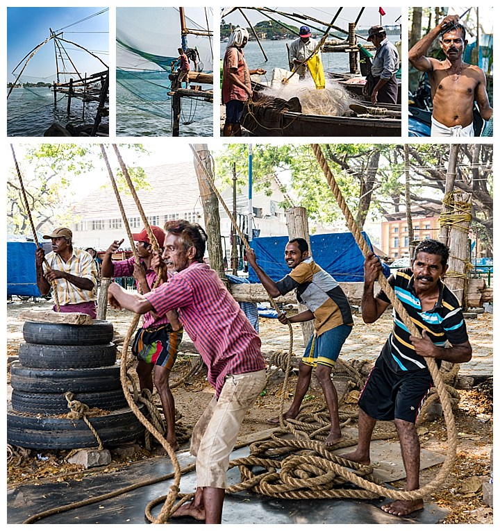 Cochin / Kochi, India - fishing