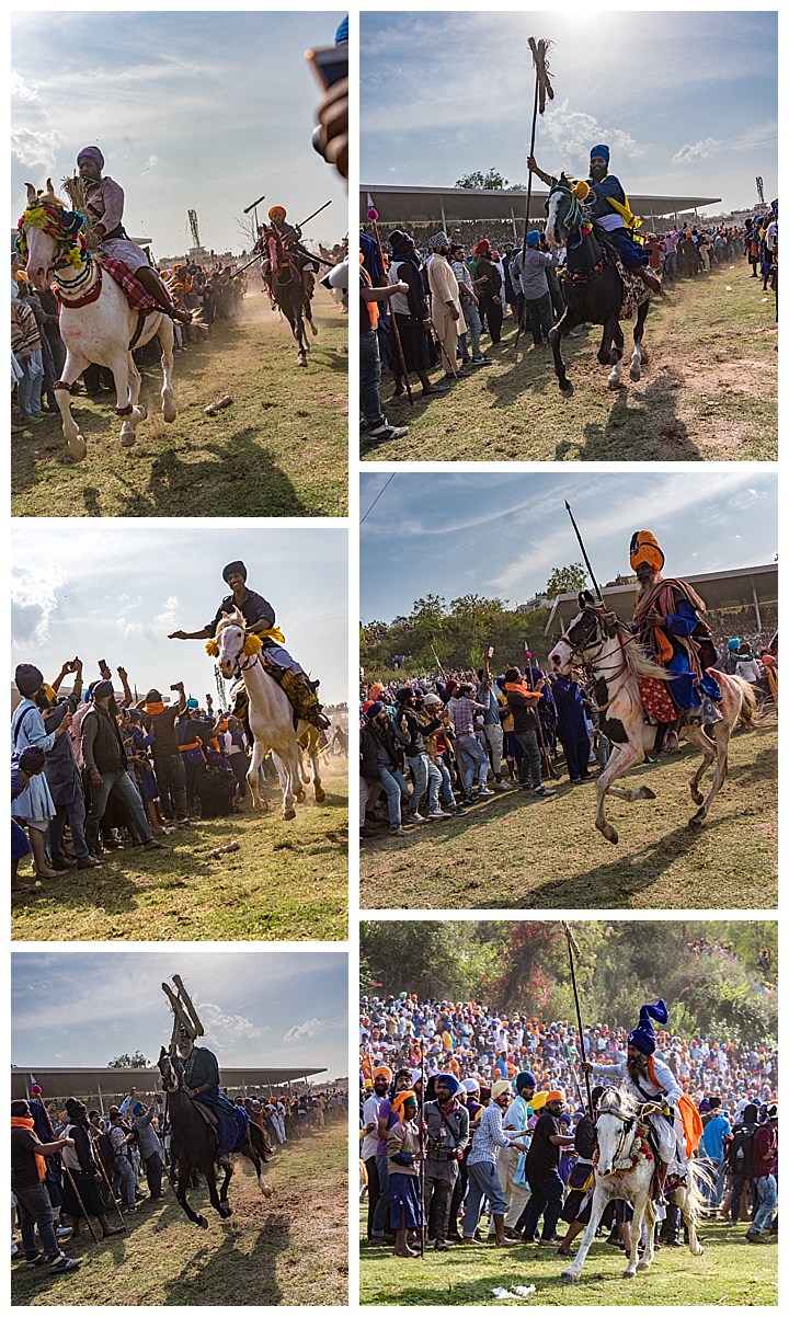 Punjab, India, Hola Mohalla 2018 - horses