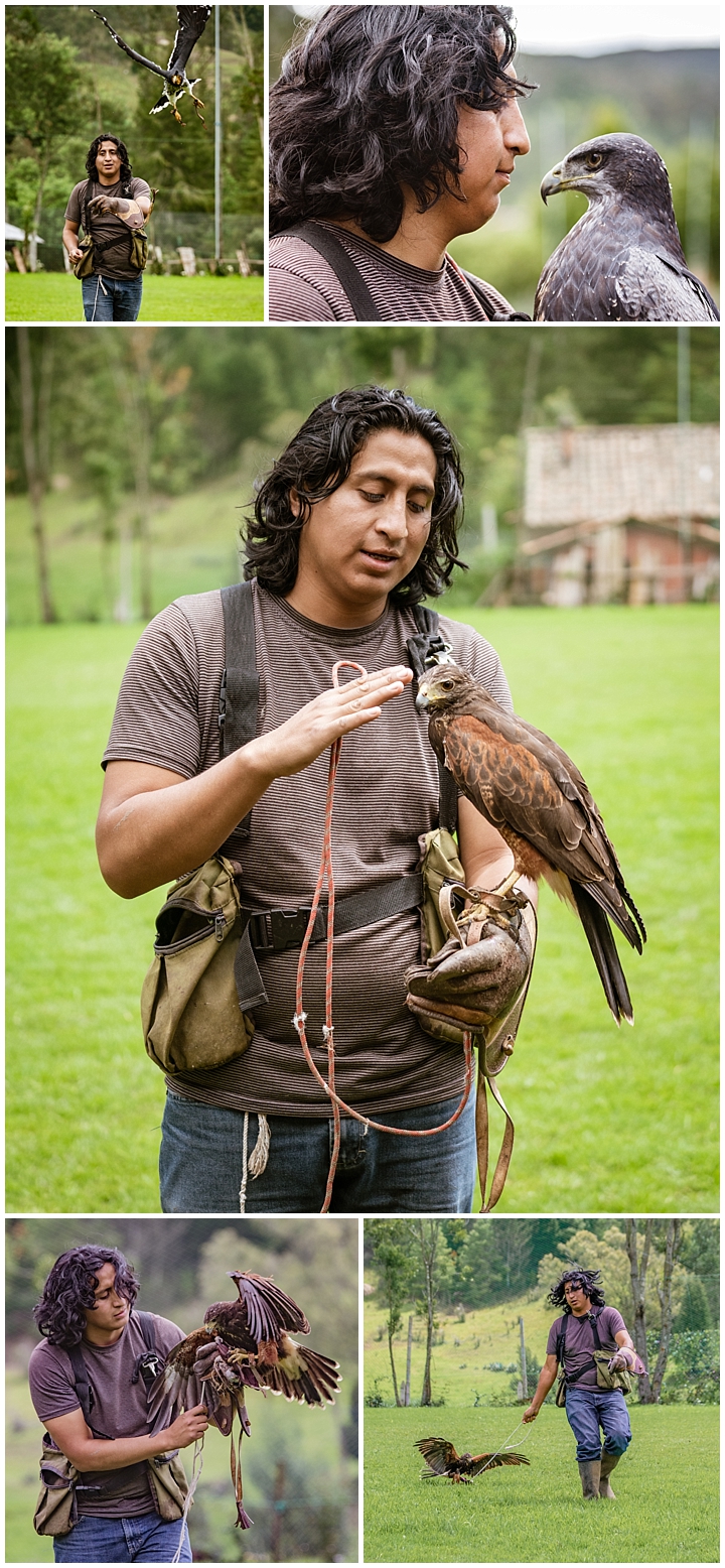 Falcon Rescue Center Tarqui, Ecuador - Jose works with birds