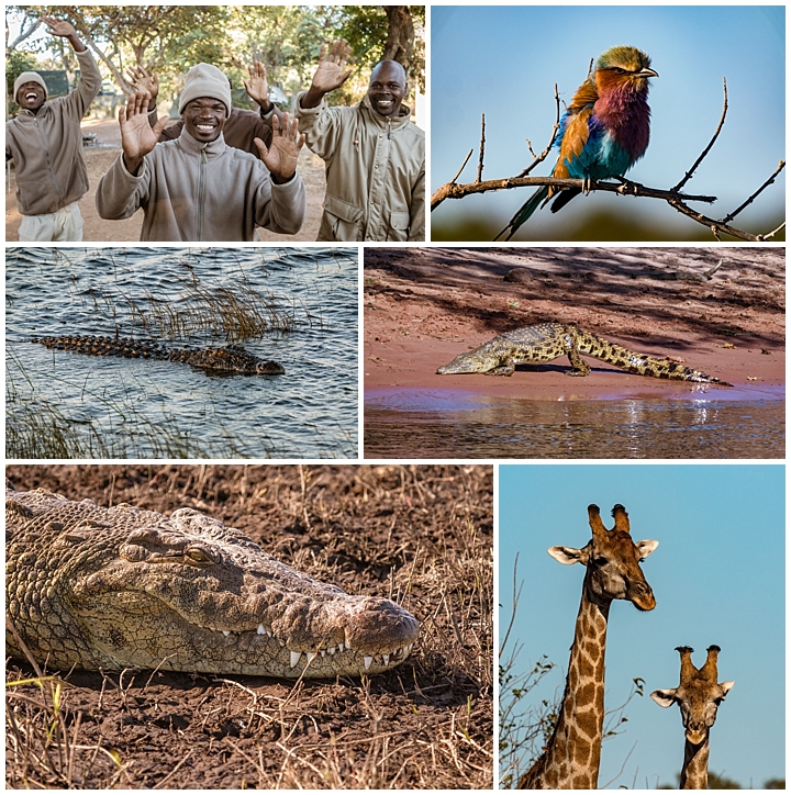 Botswana Chobe Park - misc