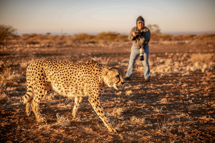 Evelyn Photographing Cheetah