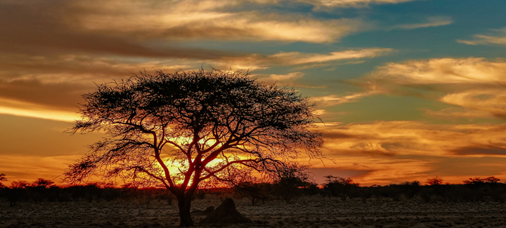 Erindi Private Reserve, Namibia 2 - sunset