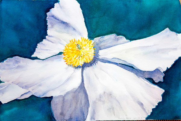 Art - Evelyn Johnson - Ecuador - Sill Life