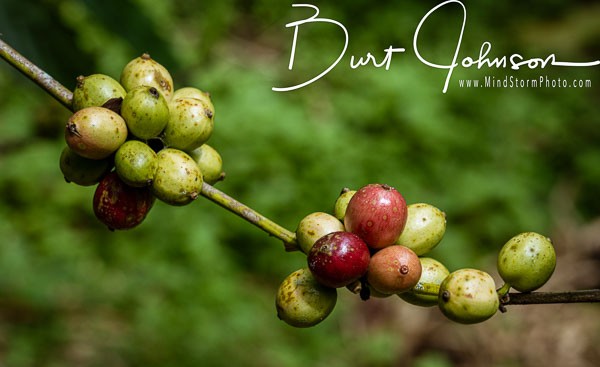 2022 Indonesia Java