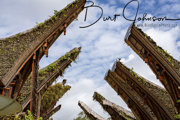 2022 Indonesia Toraja