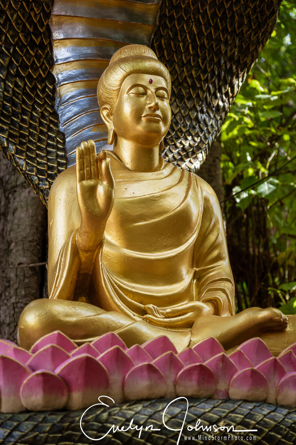 2022 Thailand