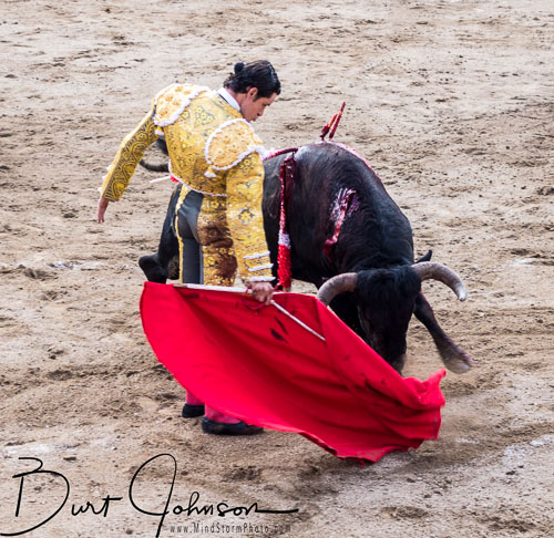 Bullfight