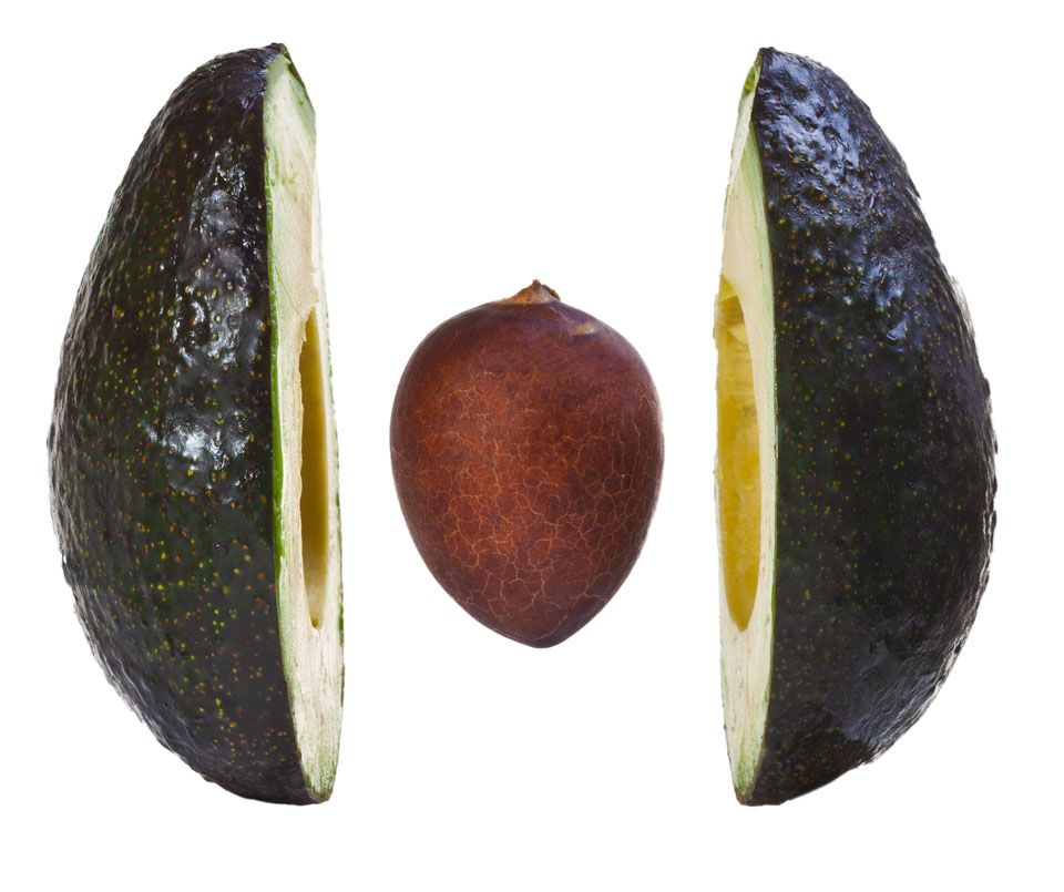 blj_20110824_avacado.jpg