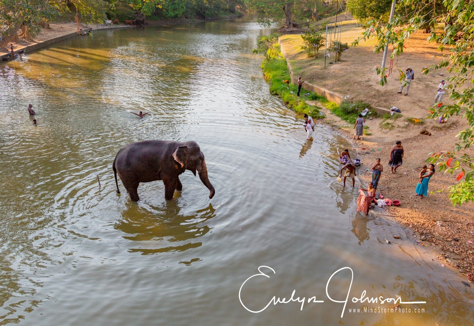 egj_20190329_398-Edit.jpg